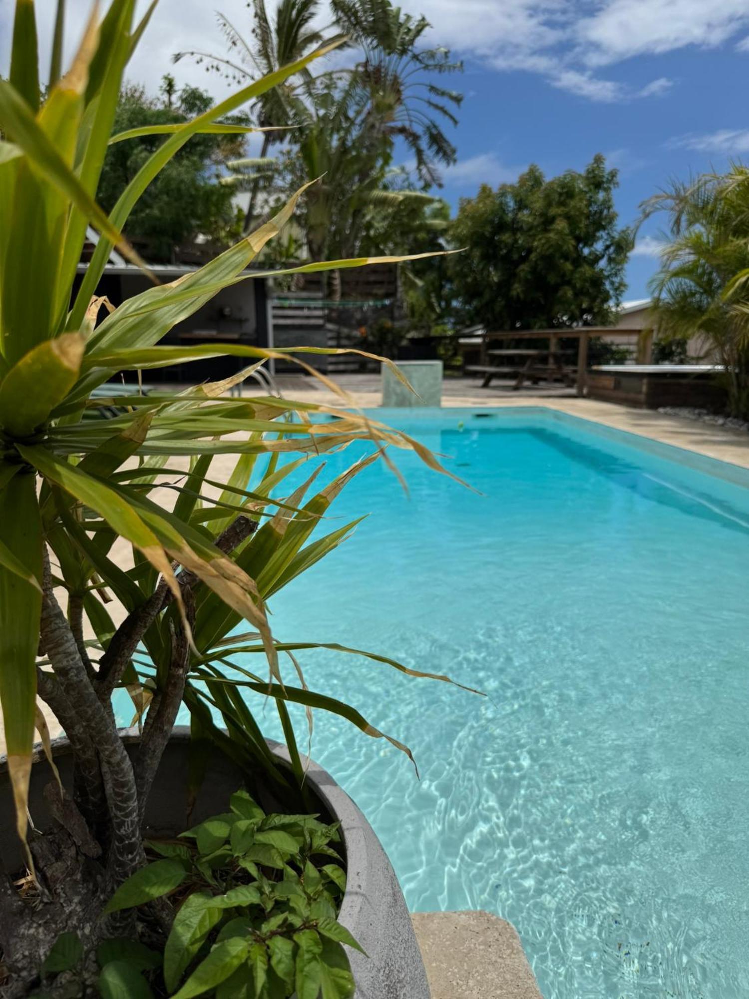סן-לו La Bananeraie Apt 35M2 Piscine Jardin Tropical Parking Prive מראה חיצוני תמונה